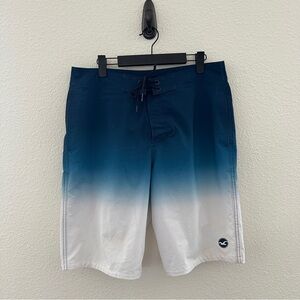 Hollister Men's Blue‎ Ombre Swim Summer Board Shorts 32